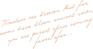 https://www.skvelasvatba.cz/wp-content/uploads/2020/10/floating_image_02-2.png